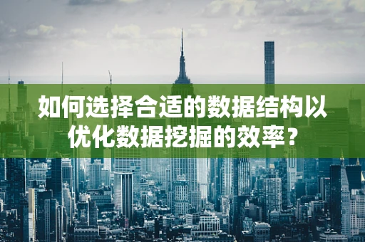 如何选择合适的数据结构以优化数据挖掘的效率？
