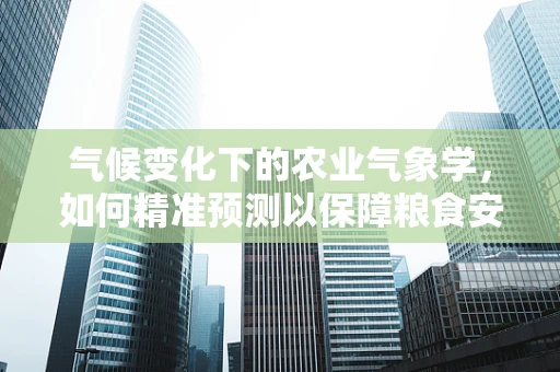 气候变化下的农业气象学，如何精准预测以保障粮食安全？