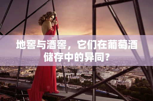 地窖与酒窖，它们在葡萄酒储存中的异同？