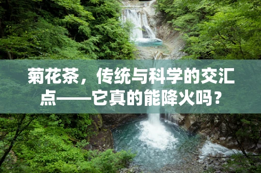 菊花茶，传统与科学的交汇点——它真的能降火吗？