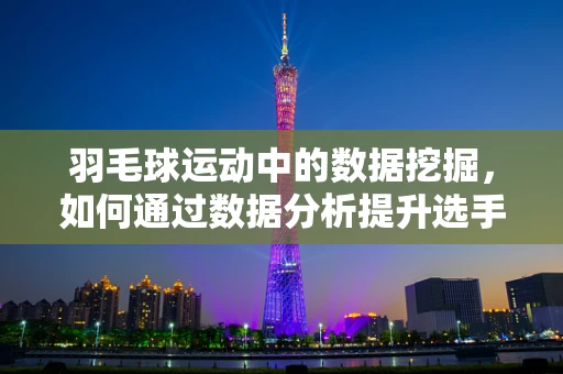羽毛球运动中的数据挖掘，如何通过数据分析提升选手表现？