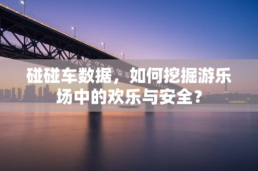 碰碰车数据，如何挖掘游乐场中的欢乐与安全？