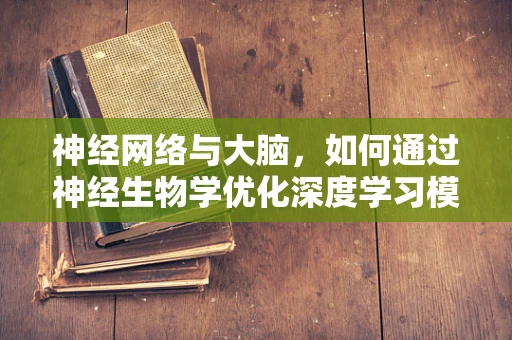 神经网络与大脑，如何通过神经生物学优化深度学习模型？