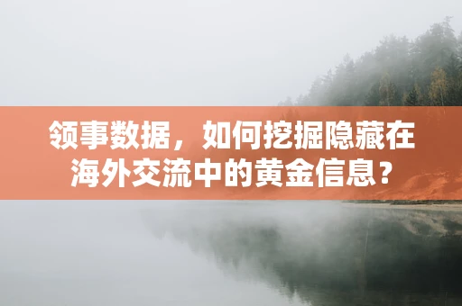 领事数据，如何挖掘隐藏在海外交流中的黄金信息？