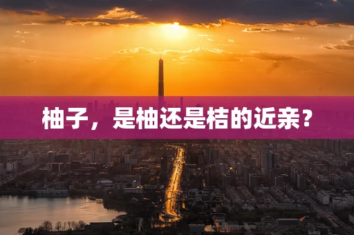 柚子，是柚还是桔的近亲？