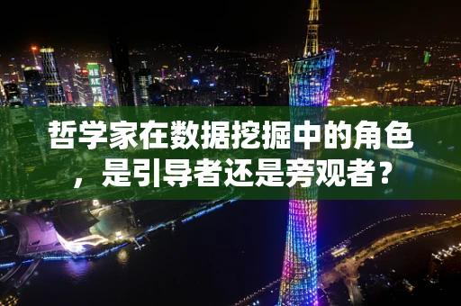 哲学家在数据挖掘中的角色，是引导者还是旁观者？