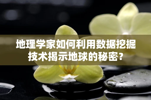 地理学家如何利用数据挖掘技术揭示地球的秘密？