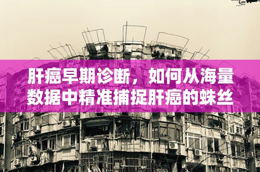 肝癌早期诊断，如何从海量数据中精准捕捉肝癌的蛛丝马迹？