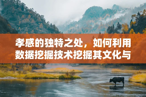 孝感的独特之处，如何利用数据挖掘技术挖掘其文化与经济潜力？