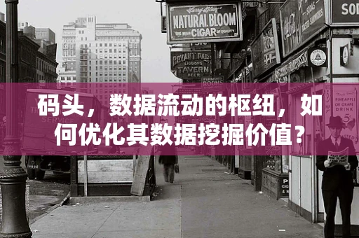 码头，数据流动的枢纽，如何优化其数据挖掘价值？