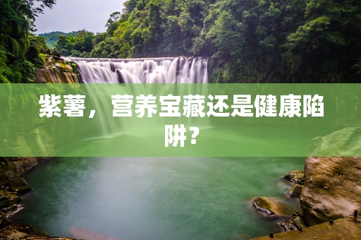 紫薯，营养宝藏还是健康陷阱？