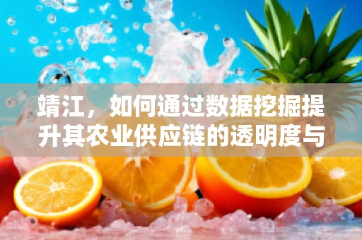 靖江，如何通过数据挖掘提升其农业供应链的透明度与效率？