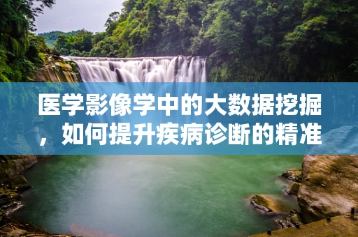 医学影像学中的大数据挖掘，如何提升疾病诊断的精准度？