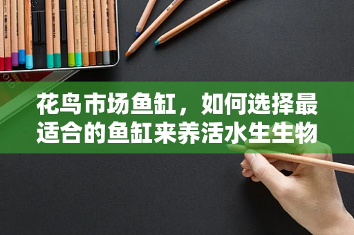 花鸟市场鱼缸，如何选择最适合的鱼缸来养活水生生物？