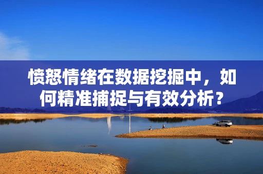 愤怒情绪在数据挖掘中，如何精准捕捉与有效分析？
