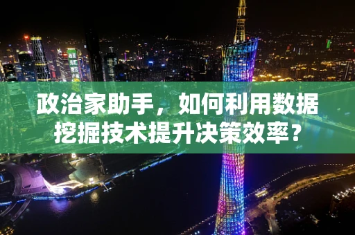 政治家助手，如何利用数据挖掘技术提升决策效率？