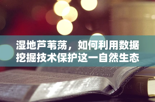 湿地芦苇荡，如何利用数据挖掘技术保护这一自然生态的绿色肺?