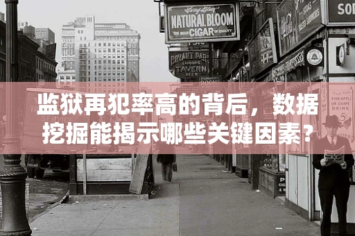 监狱再犯率高的背后，数据挖掘能揭示哪些关键因素？