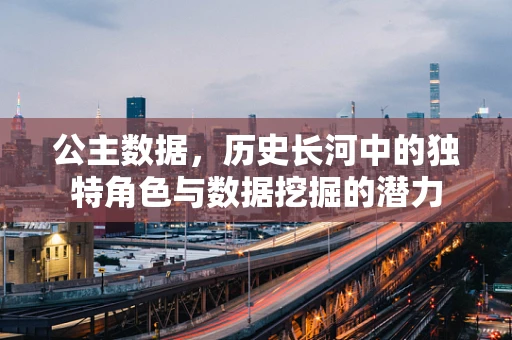 公主数据，历史长河中的独特角色与数据挖掘的潜力