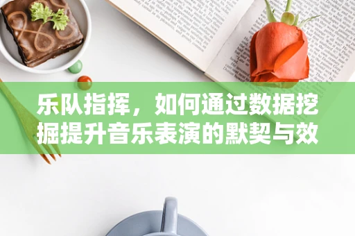 乐队指挥，如何通过数据挖掘提升音乐表演的默契与效率？