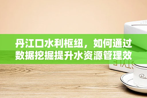 丹江口水利枢纽，如何通过数据挖掘提升水资源管理效率？