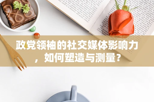 政党领袖的社交媒体影响力，如何塑造与测量？