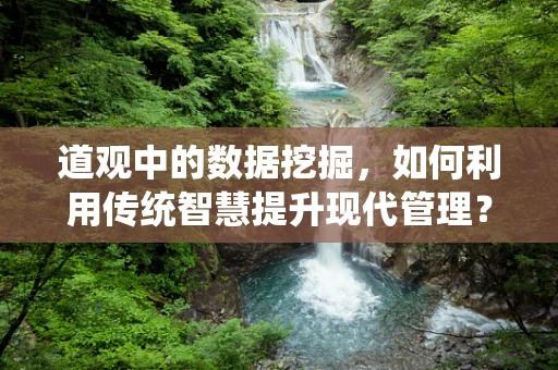 道观中的数据挖掘，如何利用传统智慧提升现代管理？