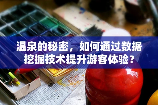 温泉的秘密，如何通过数据挖掘技术提升游客体验？