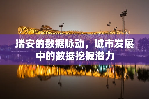 瑞安的数据脉动，城市发展中的数据挖掘潜力