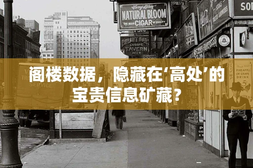 阁楼数据，隐藏在‘高处’的宝贵信息矿藏？