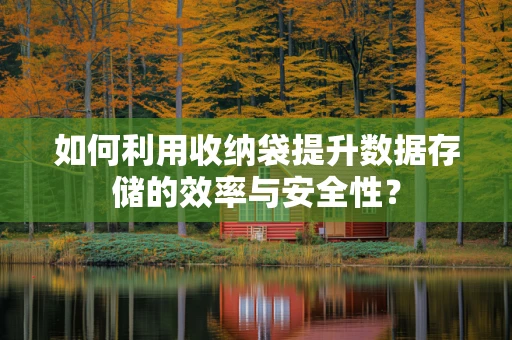 如何利用收纳袋提升数据存储的效率与安全性？