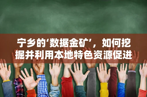 宁乡的‘数据金矿’，如何挖掘并利用本地特色资源促进经济发展？