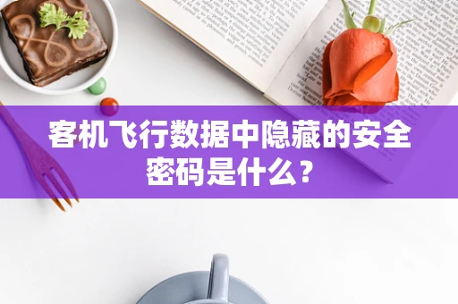 客机飞行数据中隐藏的安全密码是什么？