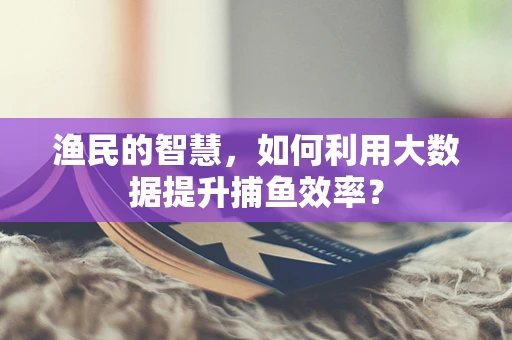 渔民的智慧，如何利用大数据提升捕鱼效率？