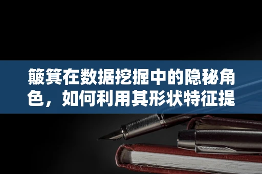 簸箕在数据挖掘中的隐秘角色，如何利用其形状特征提升分类精度？