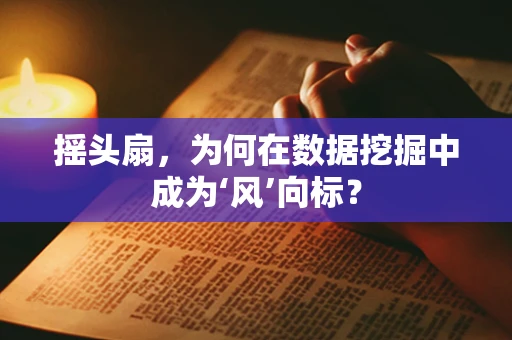 摇头扇，为何在数据挖掘中成为‘风’向标？
