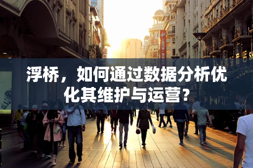 浮桥，如何通过数据分析优化其维护与运营？
