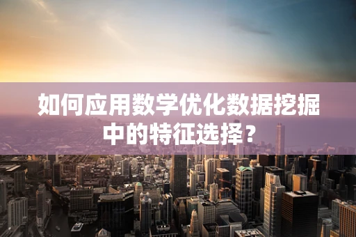 如何应用数学优化数据挖掘中的特征选择？