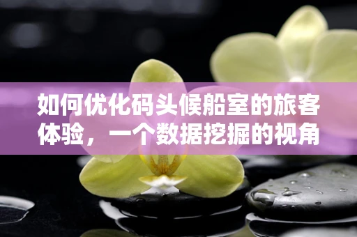 如何优化码头候船室的旅客体验，一个数据挖掘的视角？