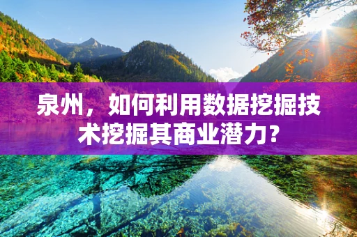 泉州，如何利用数据挖掘技术挖掘其商业潜力？