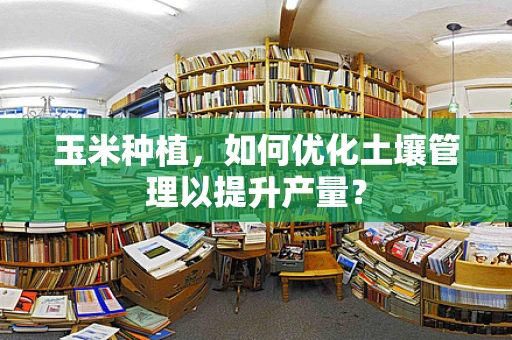 玉米种植，如何优化土壤管理以提升产量？