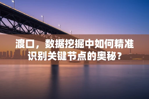 渡口，数据挖掘中如何精准识别关键节点的奥秘？