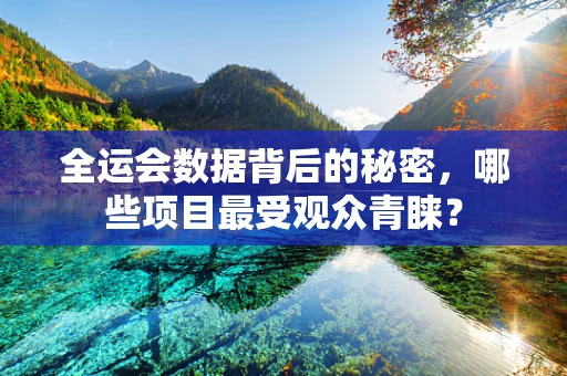 全运会数据背后的秘密，哪些项目最受观众青睐？