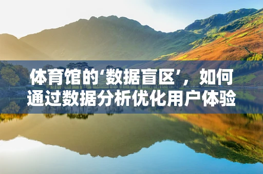 体育馆的‘数据盲区’，如何通过数据分析优化用户体验？