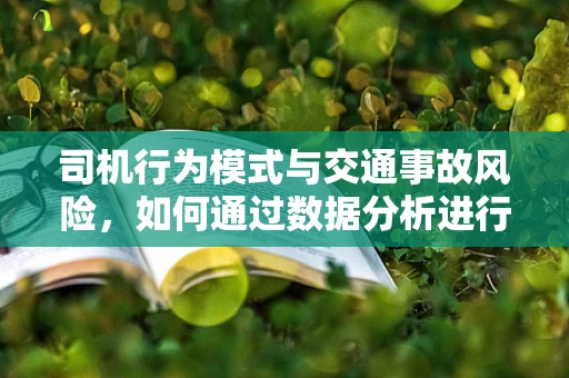 司机行为模式与交通事故风险，如何通过数据分析进行预测？