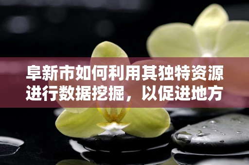 阜新市如何利用其独特资源进行数据挖掘，以促进地方经济发展？