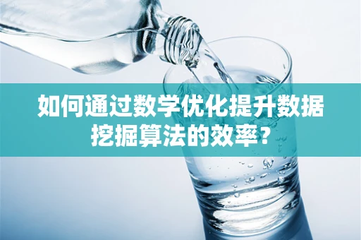 如何通过数学优化提升数据挖掘算法的效率？