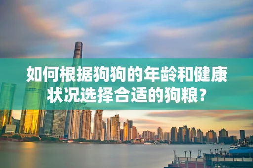 如何根据狗狗的年龄和健康状况选择合适的狗粮？
