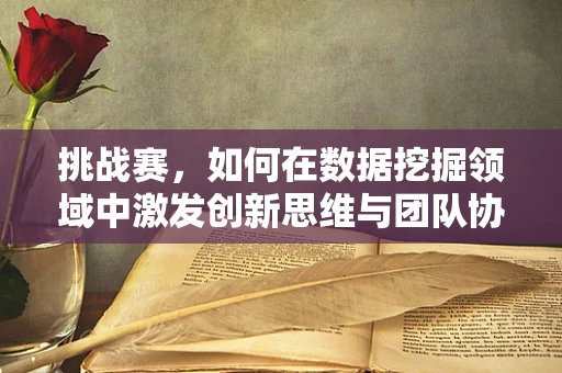 挑战赛，如何在数据挖掘领域中激发创新思维与团队协作？