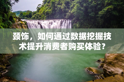 颈饰，如何通过数据挖掘技术提升消费者购买体验？